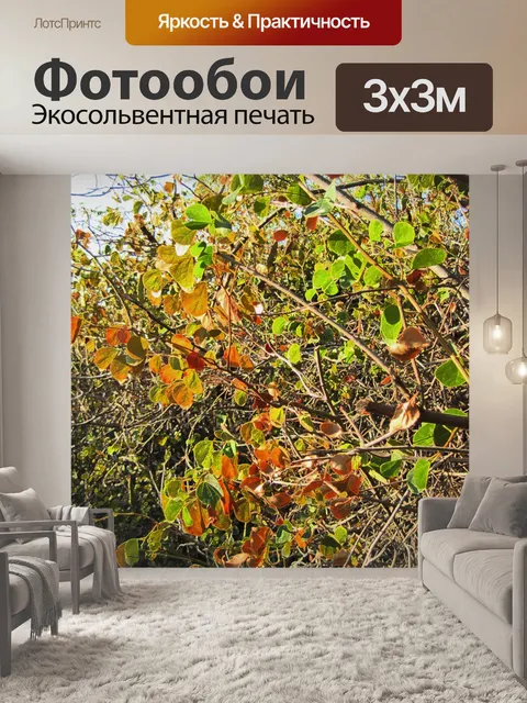 Фотообои Мыс гордимся желтые и зеленые листья