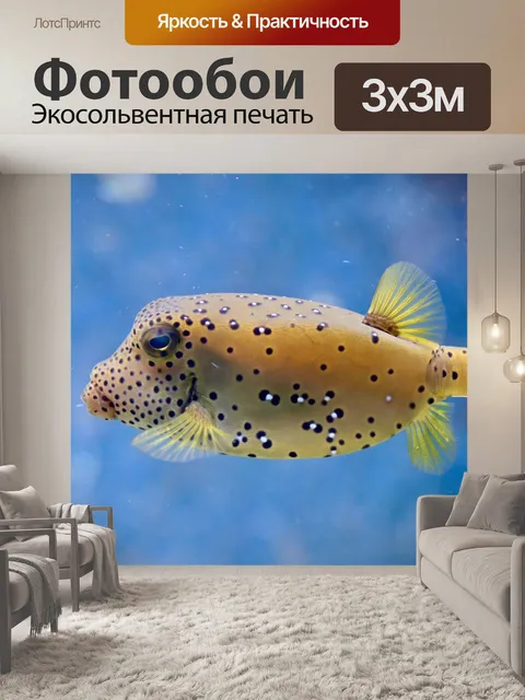 Фотообои Рыба фугу