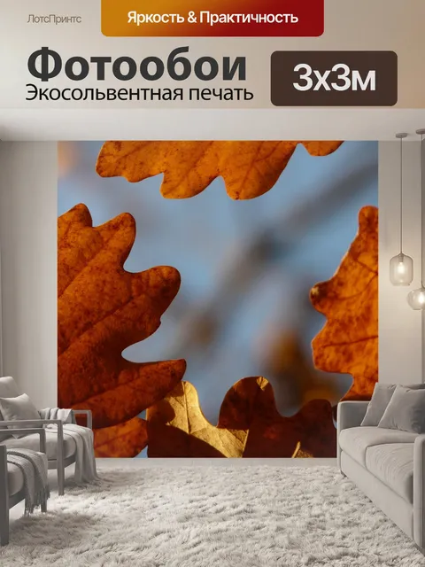 Фотообои Дубовые листья