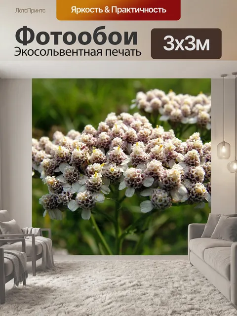 Фотообои Цветы