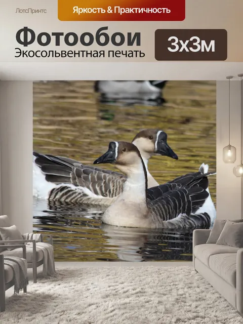 Фотообои Два