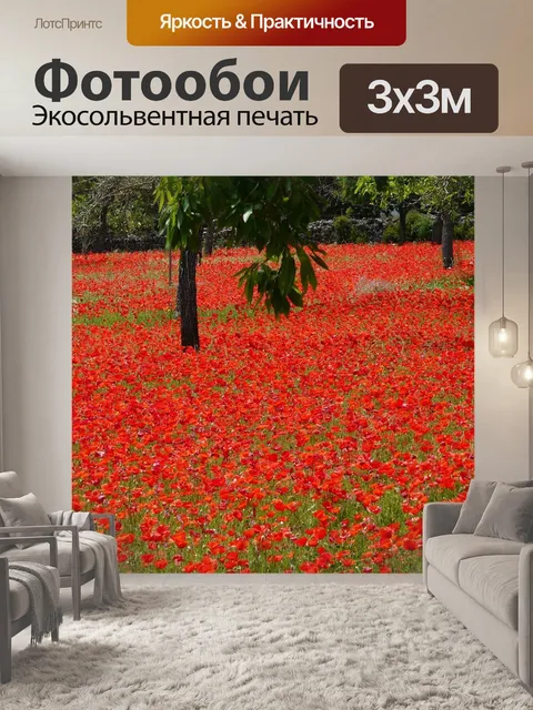 Фотообои Красный мак