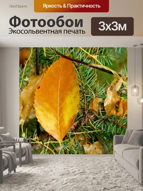 Фотообои Осень
