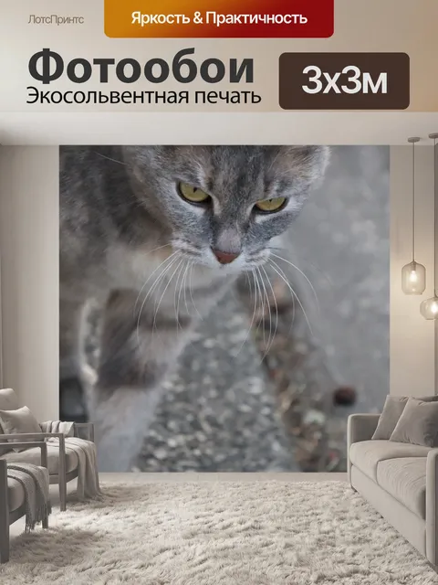 Фотообои Кошка