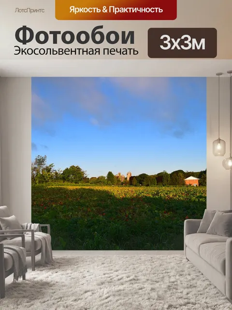 Фотообои Поле