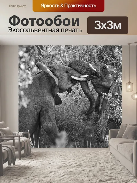 Фотообои Слон