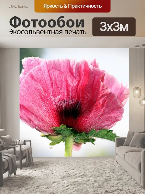 Фотообои Цветок