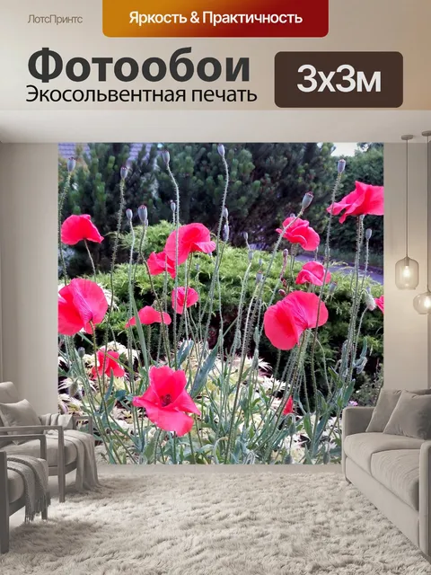 Фотообои Маки