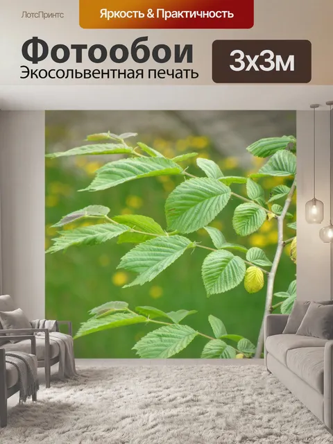 Фотообои Листья