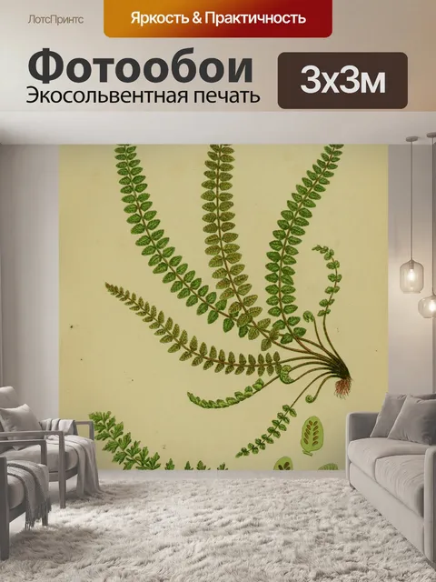 Фотообои Листья папоротника Селезенка Винтаж