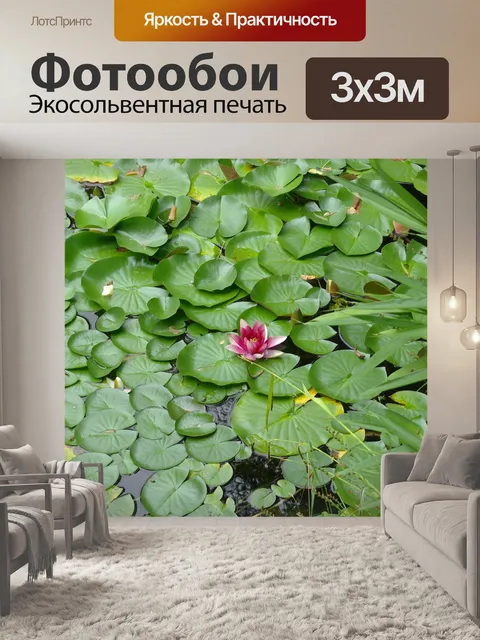 Фотообои Водяная лилия