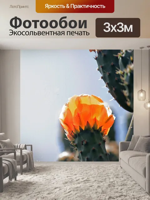 Фотообои светящийся оранжевый цветок опунции