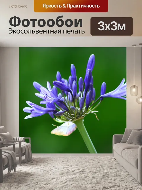 Фотообои Синий