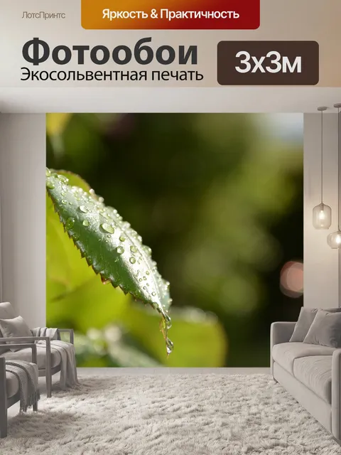 Фотообои Лист