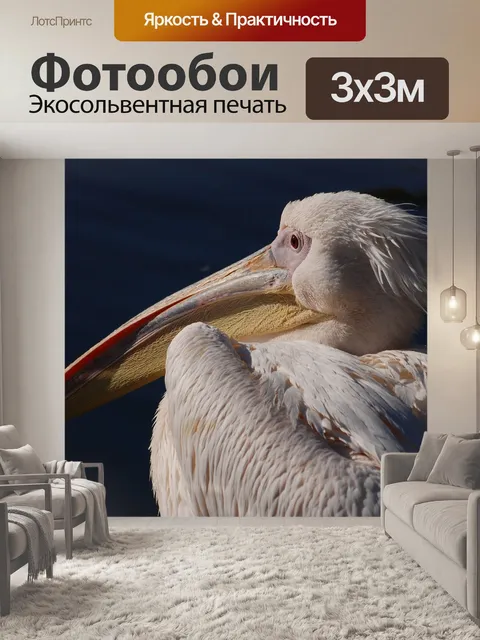 Фотообои Большой белый пеликан