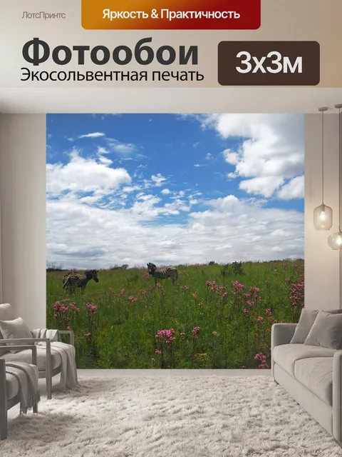 Фотообои несколько зебр на лугу