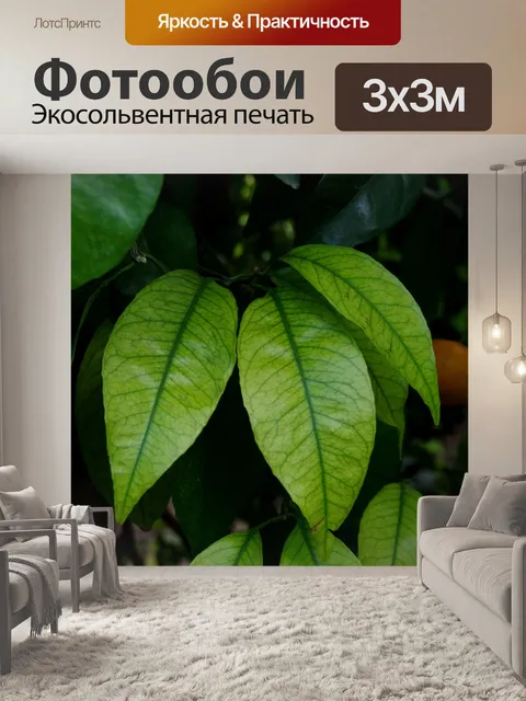 Фотообои Светло-зеленые листья в саду