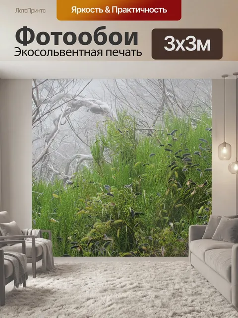 Фотообои Туман