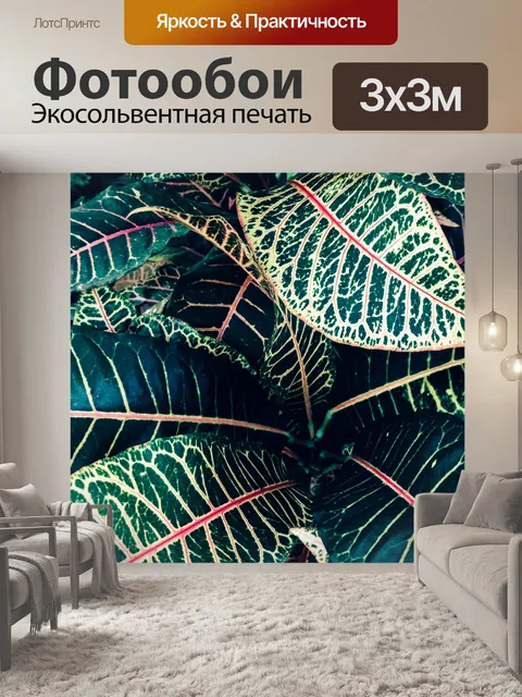 Фотообои листья зебры