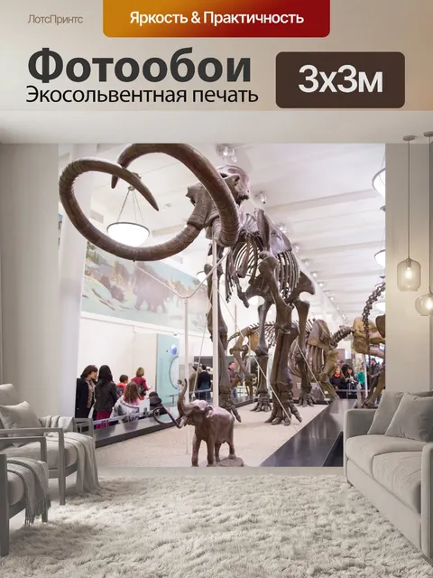 Фотообои Американский музей естественной истории