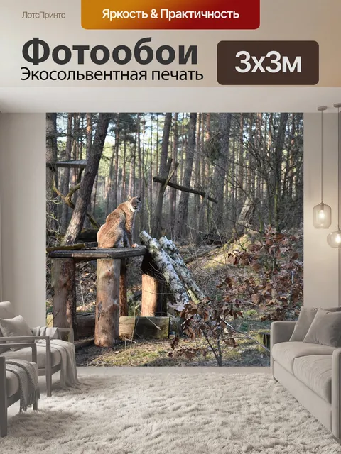 Фотообои Рысь