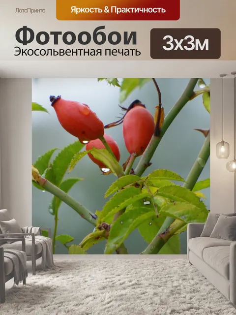 Фотообои Дикие розы