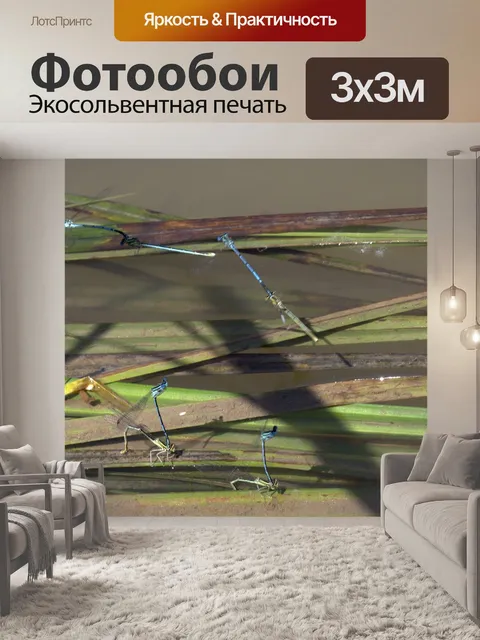 Фотообои Стрекозы