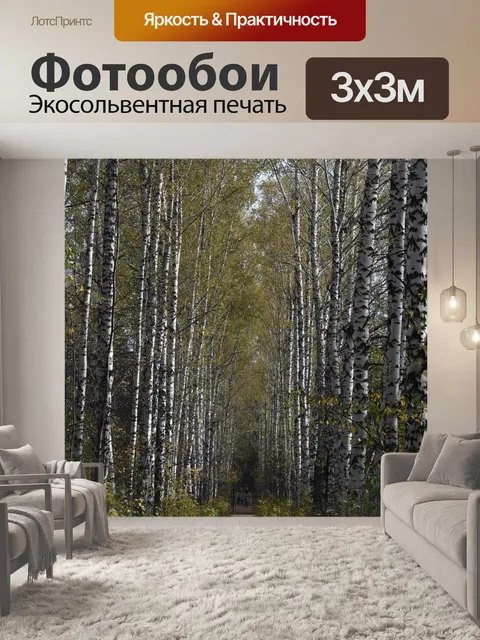 Фотообои Березы