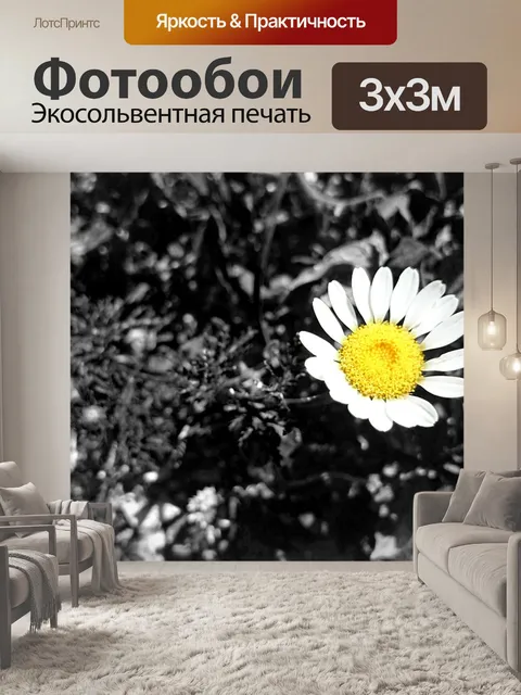 Фотообои Дейзи
