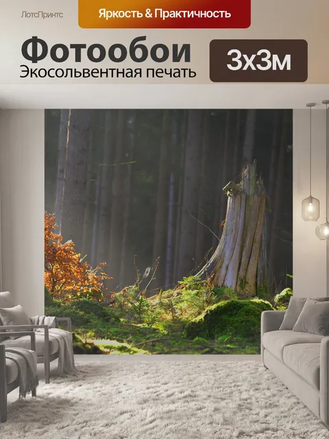 Фотообои Зачарованный лес