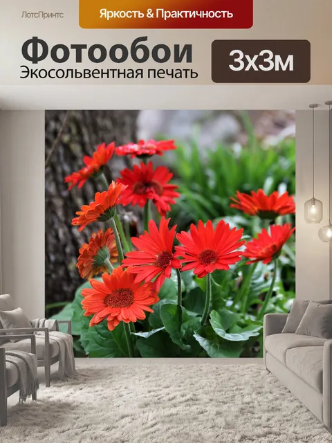 Фотообои Красные ромашки в цветочном саду