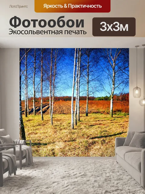 Фотообои Берёза
