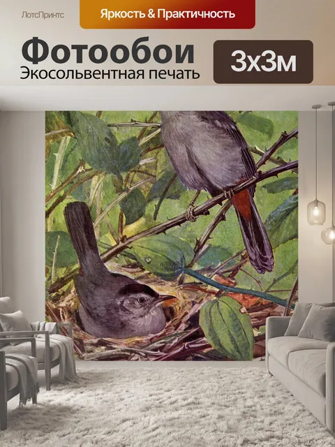 Фотообои Catbird Vintage Bird Иллюстрация