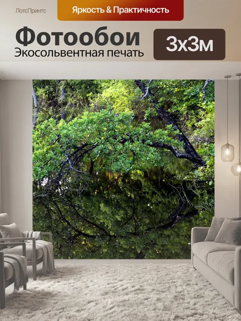 Фотообои Дерево отражается на пруду летом