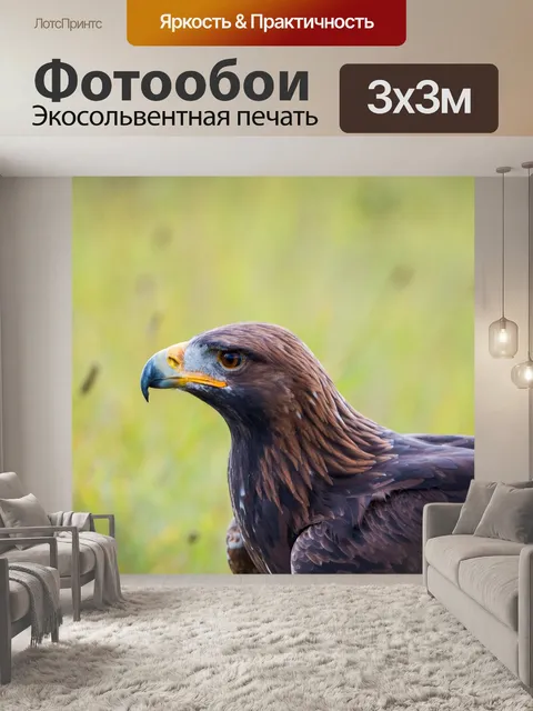 Фотообои Золотой орел