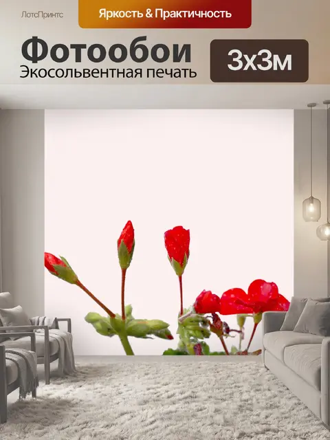 Фотообои Капли дождя на геранью