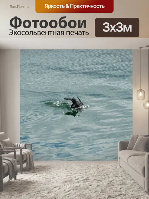 Фотообои Дайпинг баклана.
