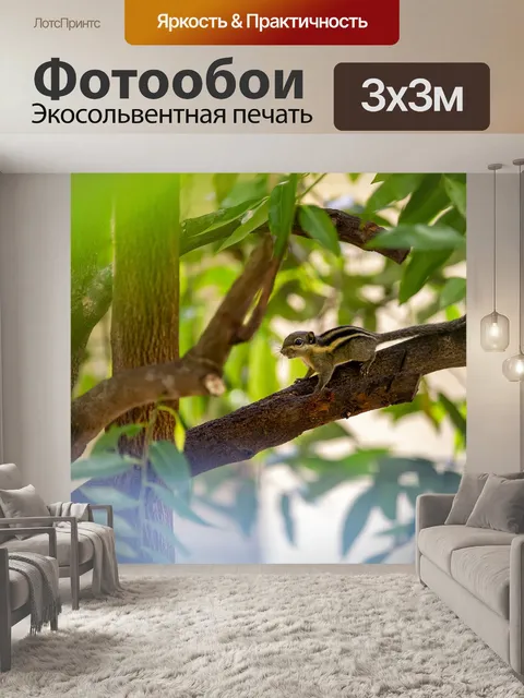 Фотообои Гималайская полосатая белка
