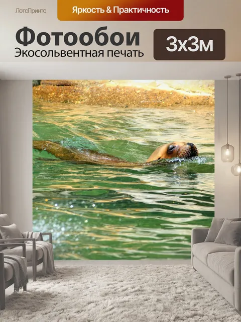 Фотообои Морской лев