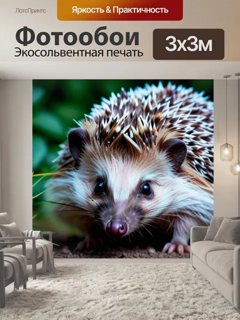 Фотообои с ежиками