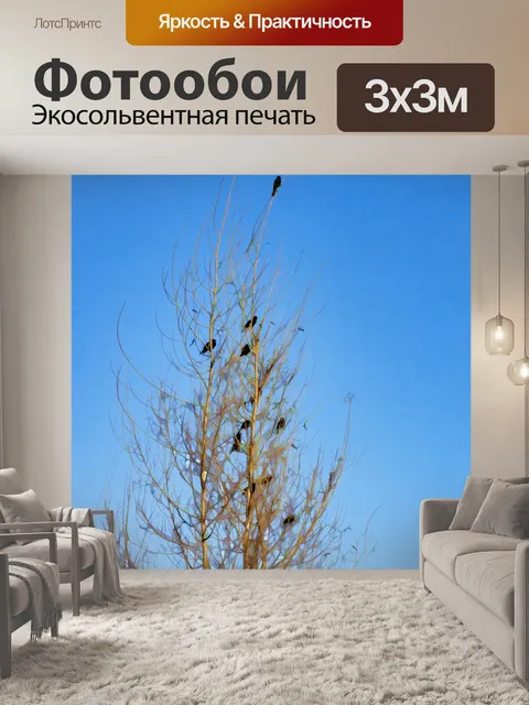 Фотообои птицы в голом дереве