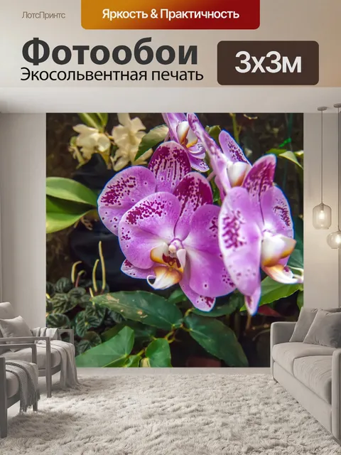 Фотообои Цветы орхидеи