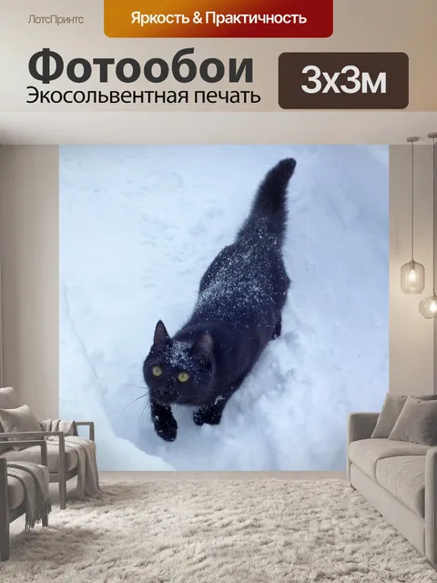 Фотообои Черная