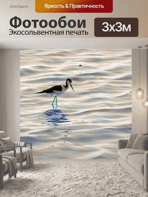 Фотообои Черный шеей Стилт Bird