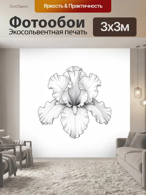 Фотообои Белый ирис в графике