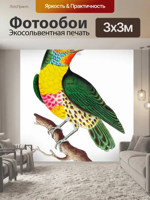 Фотообои Птица тропических старинных искусства