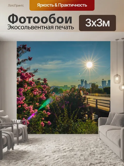 Фотообои Шарлотта горизонта города