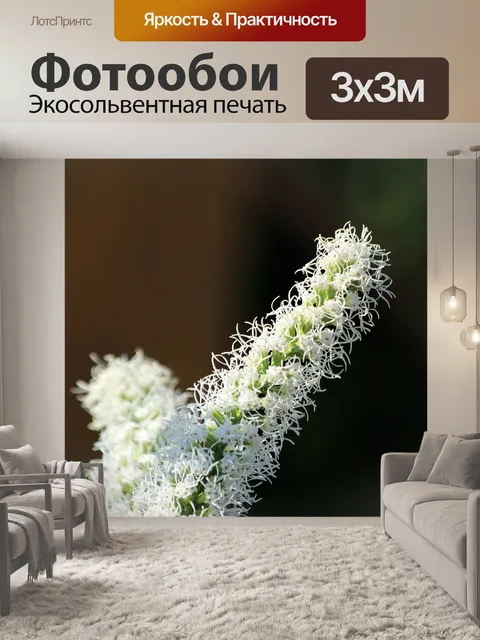 Фотообои Лиатрис