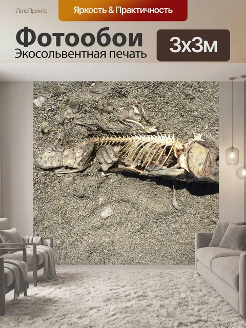 Фотообои Мертвая рыба