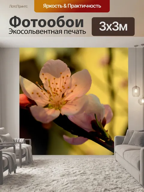 Фотообои Spring Blossoms
